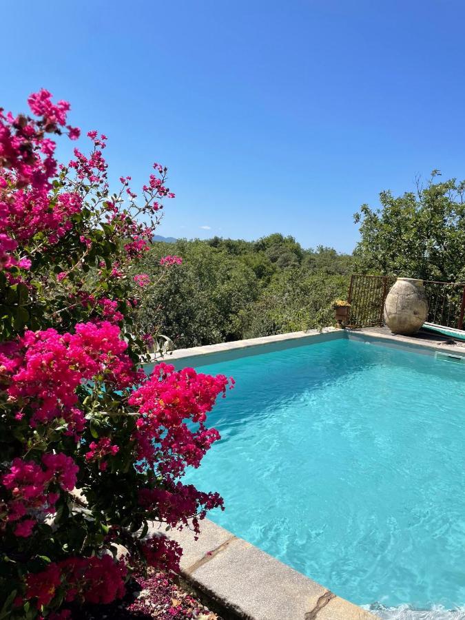 Bed and Breakfast Le Petit Mas Vogue Exterior foto