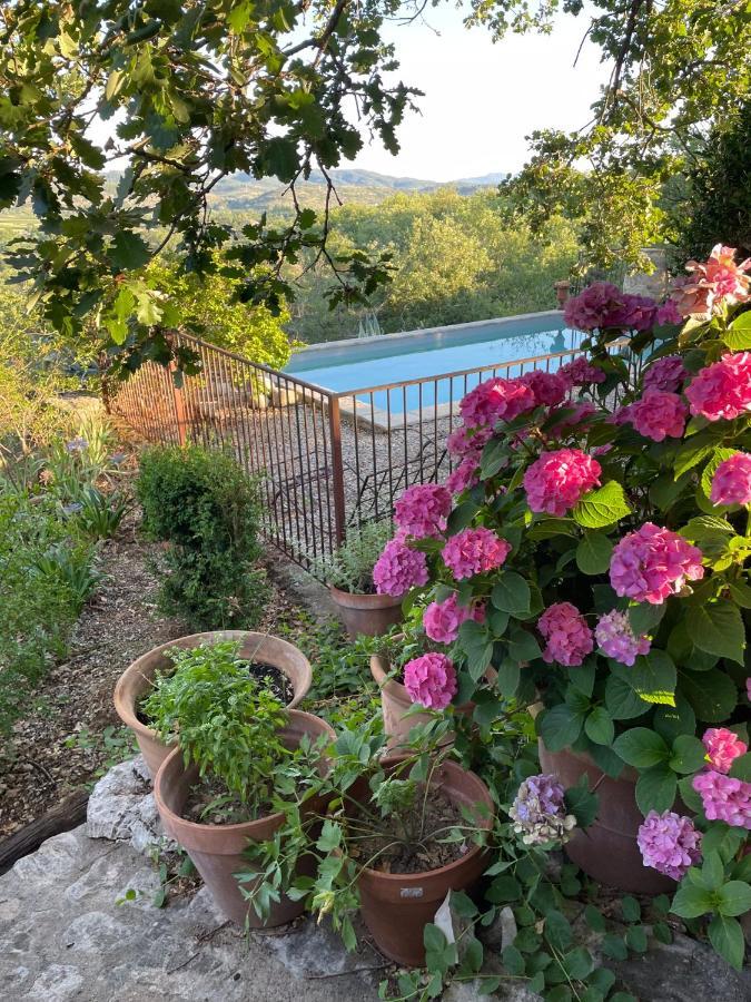 Bed and Breakfast Le Petit Mas Vogue Exterior foto
